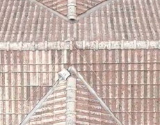 20250212_01.jpg